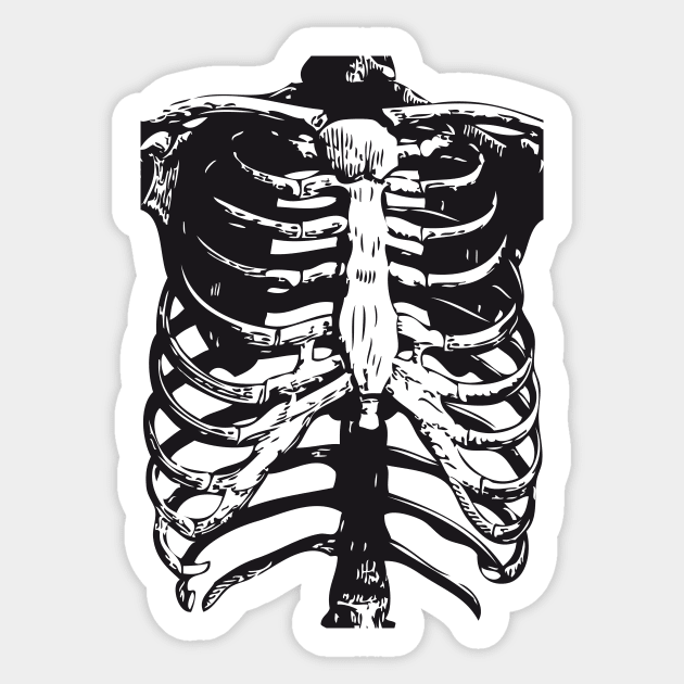 Skeleton Ribs | Skeletons | Anatomy | Bones | Rib Cage | Sticker by Eclectic At Heart